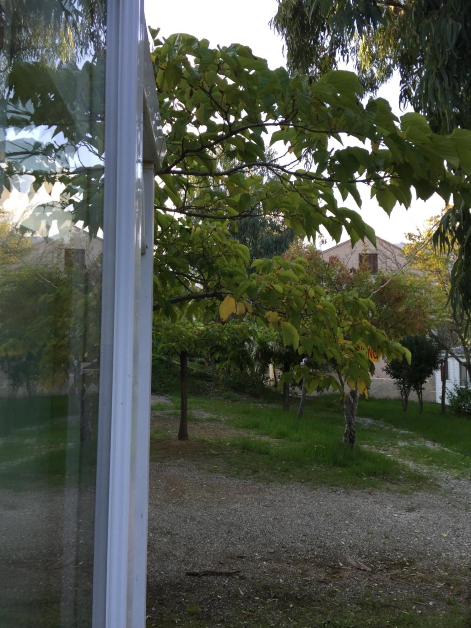 Camping Les Orangers San-Martino-di-Lota Room photo